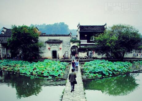 七夕表白第十弹丨 做我的女王吧